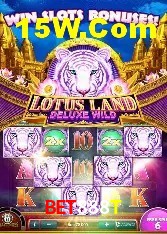 Estatísticas Crash Games Bet888T